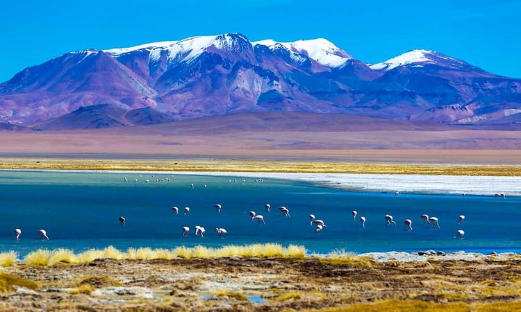 Les plus beaux points de vue au Chili et en Bolivie