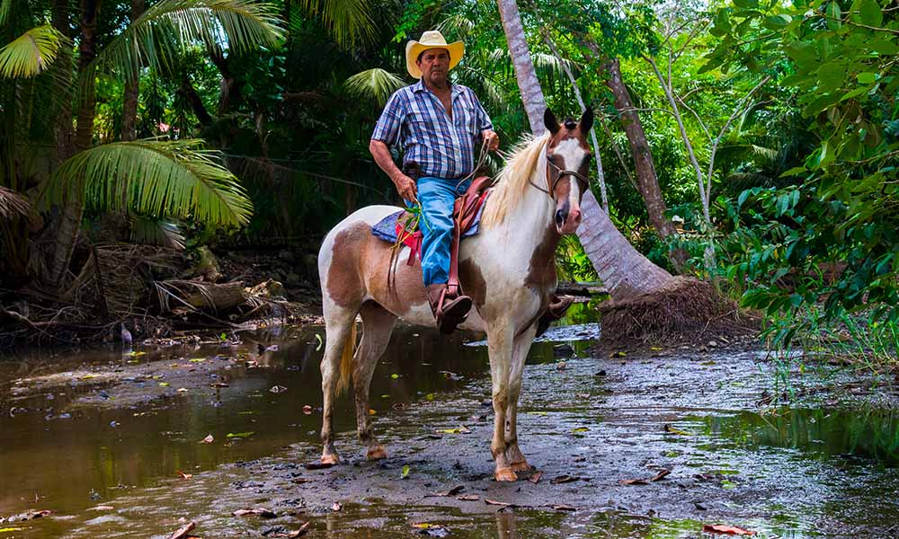 homme-cheval-costa-rica