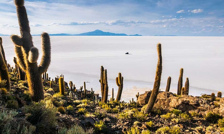 Salar-Uyuni-Bolivie