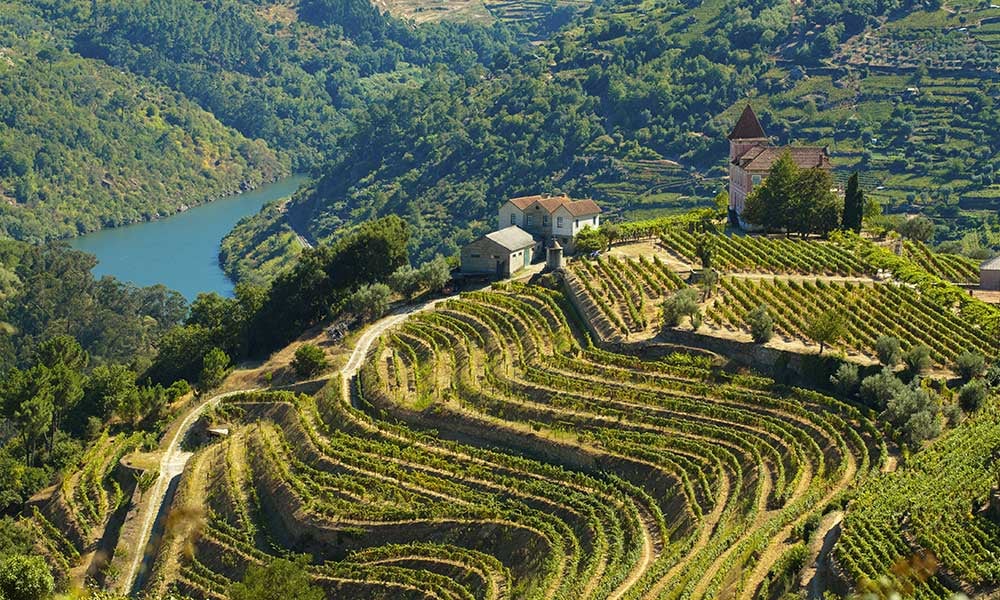 Portugal-Douro-vins-porto