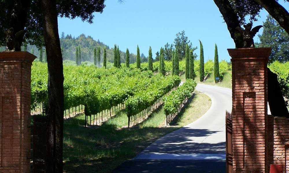 Californie-vallee-napa-vins