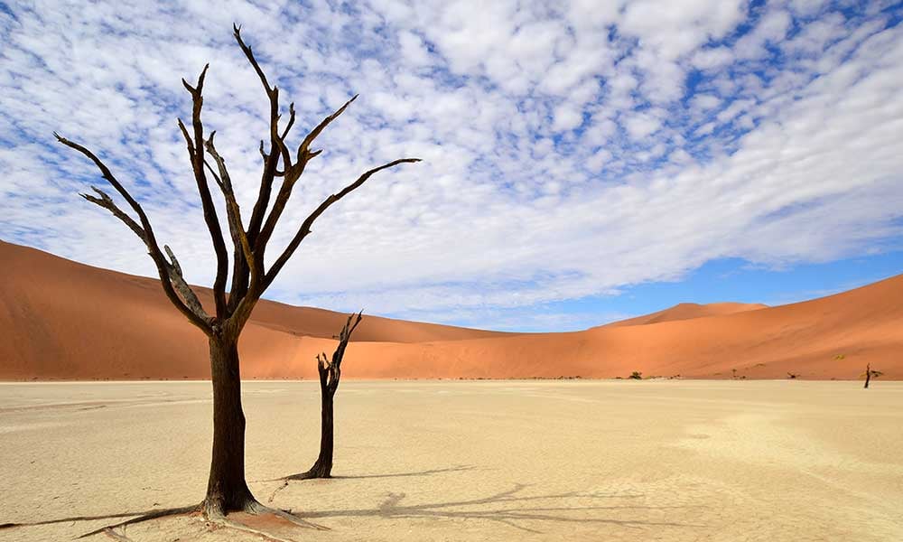 Desert-Namib-Namibie