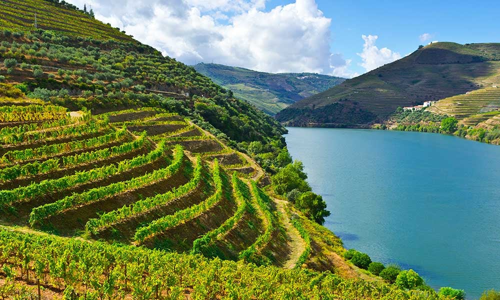 Voyages-Traditours-Portugal-Douro-vignes-terrasse