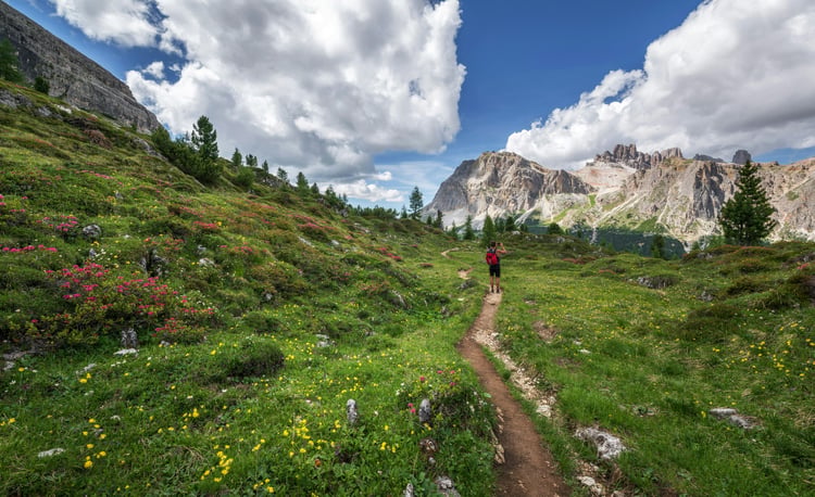 Randonnée en montagne