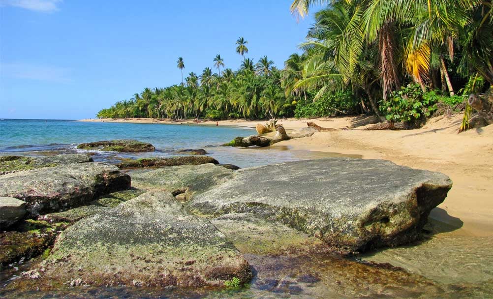 La plage de Tamarindo, au Costa Rica, bordée de palmiers