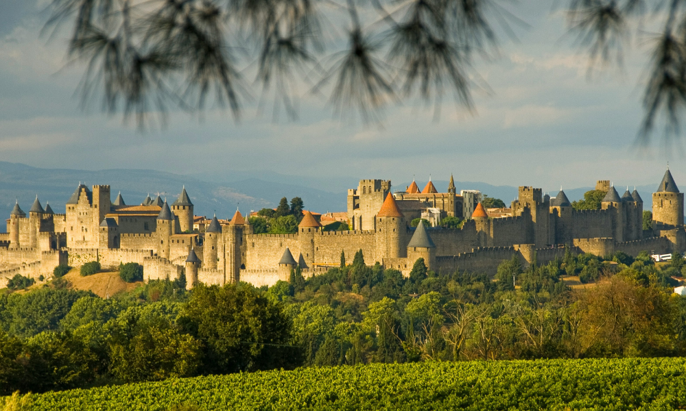 Visite guidée de la citée historique de Carcassonne 