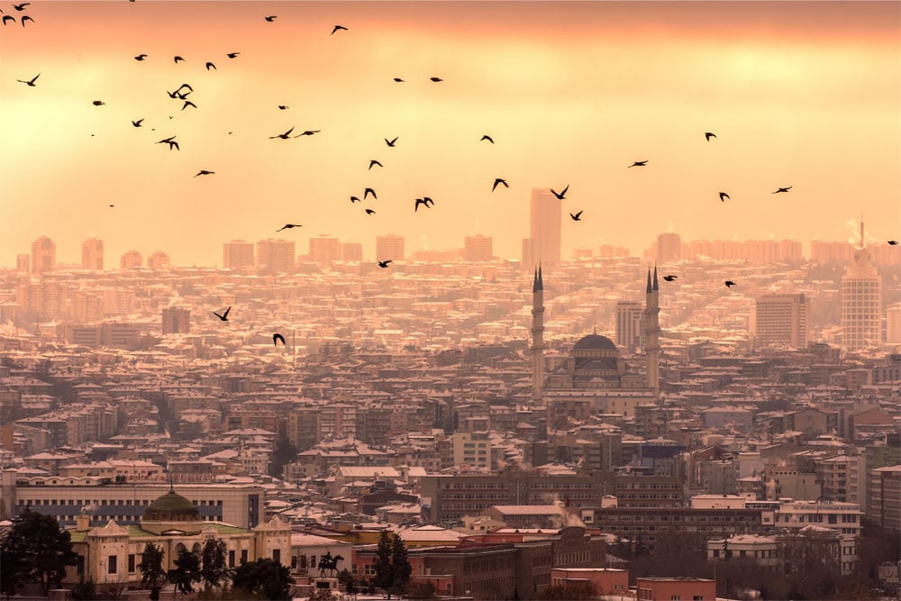 Un groupe d'oiseaux survole Ankara, la ville se dessine en arrière-plan.