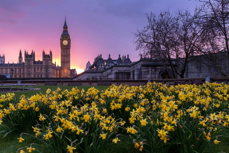Paysage londonien
