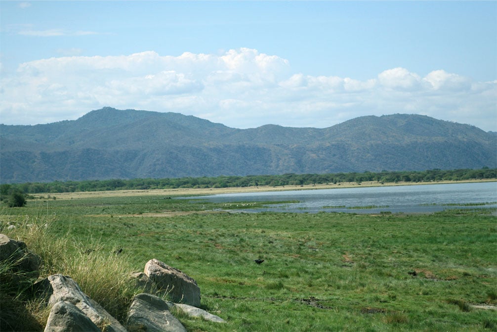Vue panoramique du lac Manyara en Tanzanie, offrant une oasis paisible au cœur de la nature.
