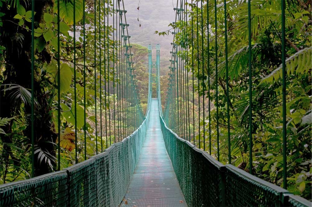Pont supendu dans la forêt de Monteverde au Costa Rica
